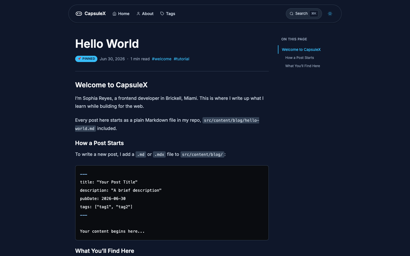 CapsuleX website template preview 4