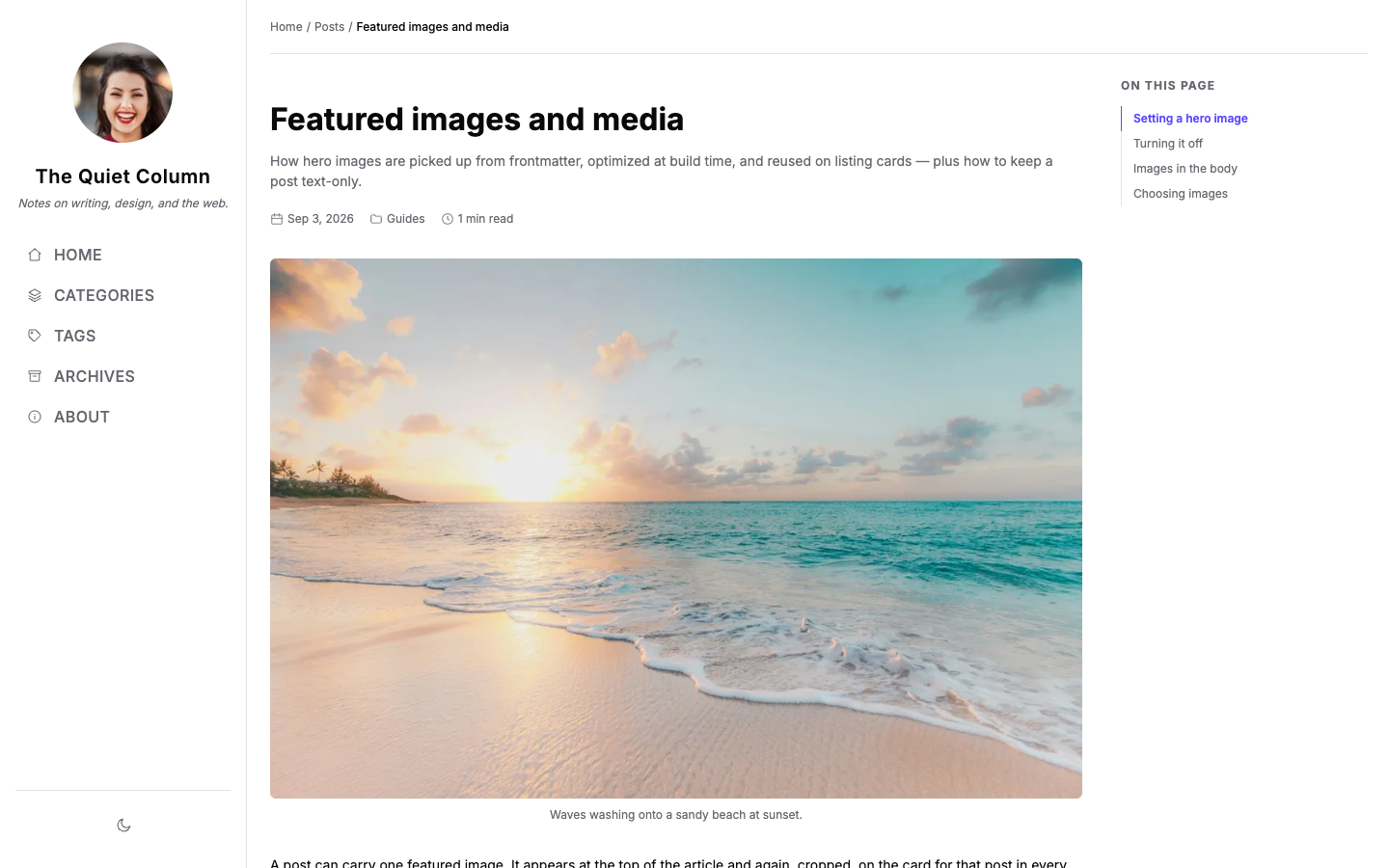 Chirping website template preview 6
