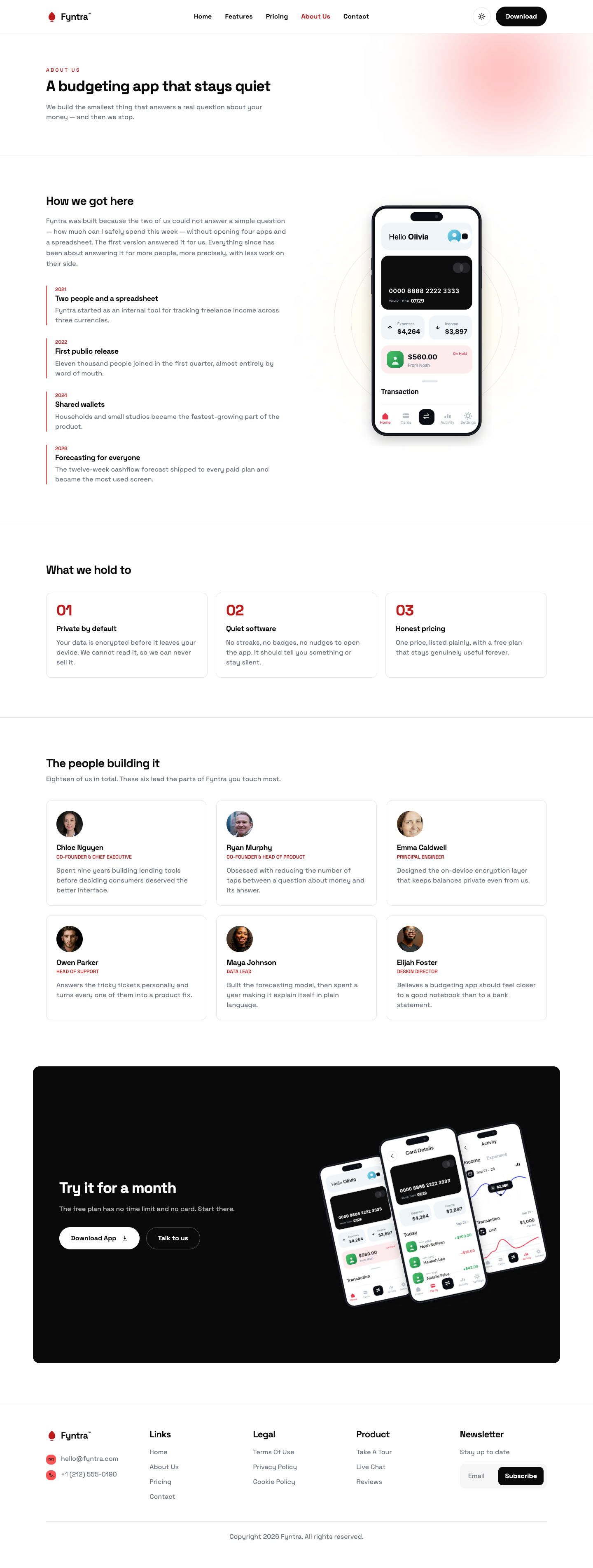 Fyntra website template preview 7