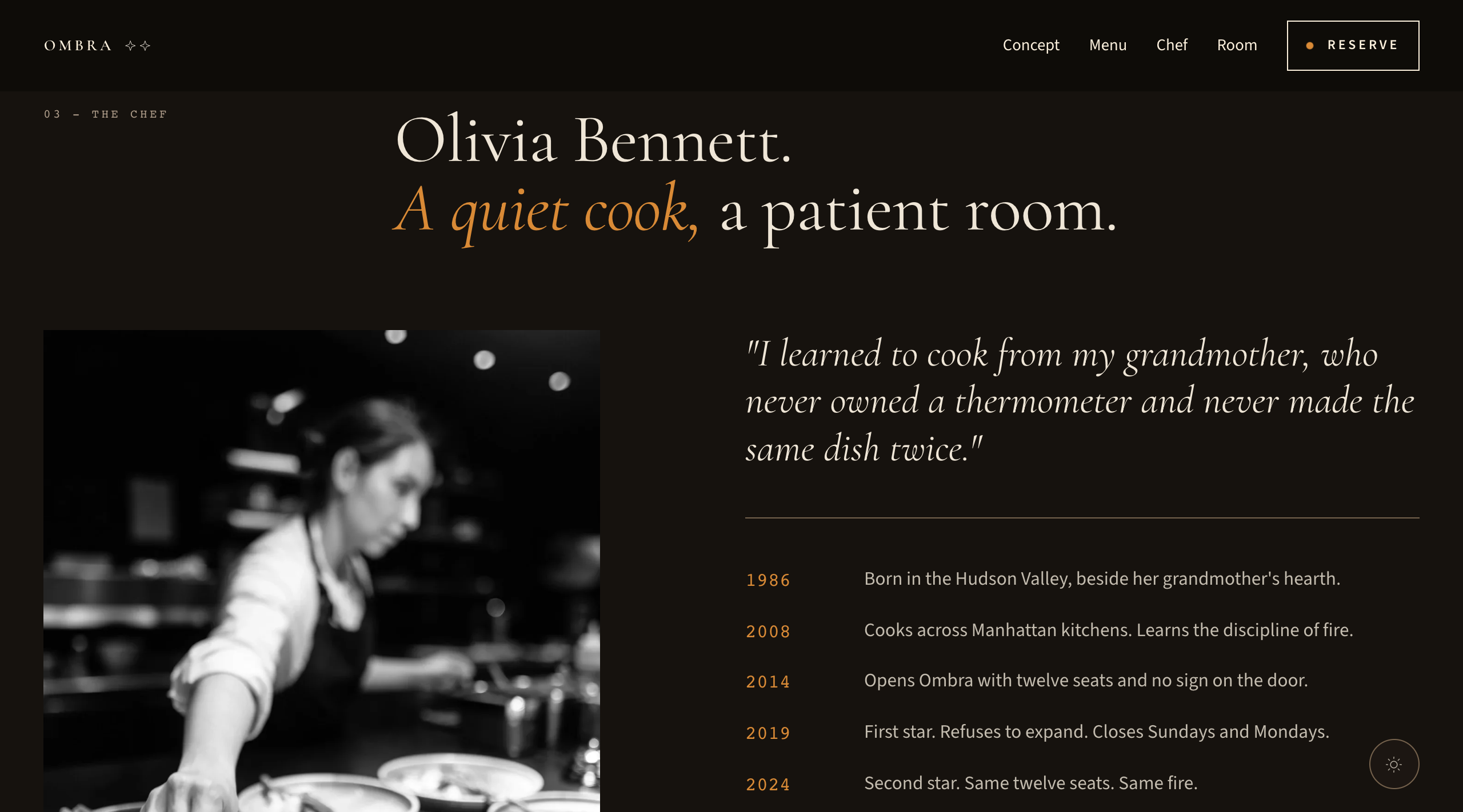 Ombra website template preview 2