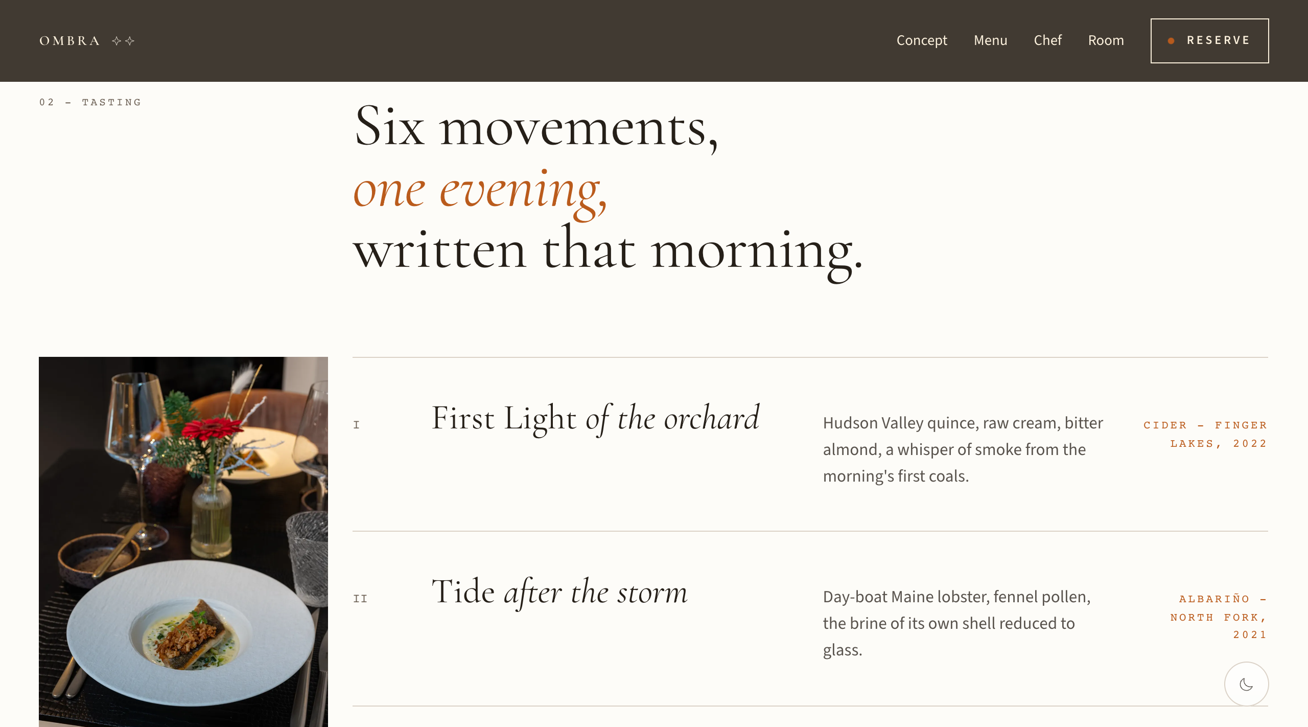 Ombra website template preview 3