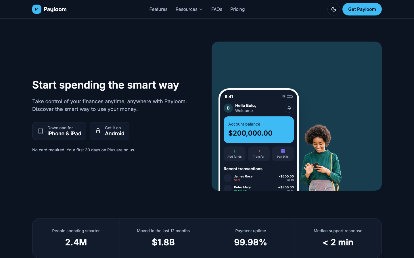 Payloom website template preview 2