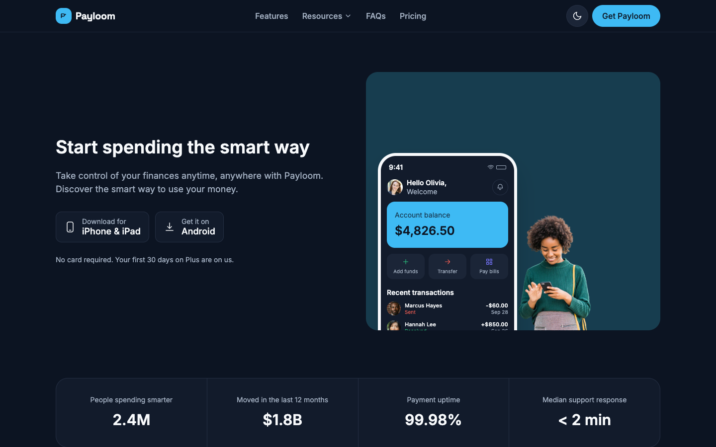 Payloom website template preview 2