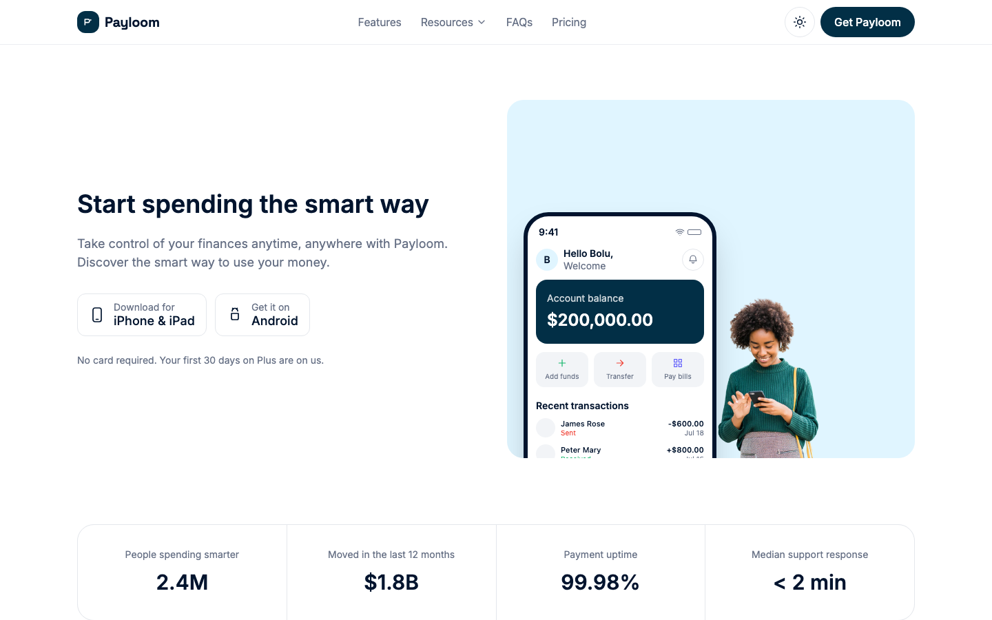 Payloom website template preview