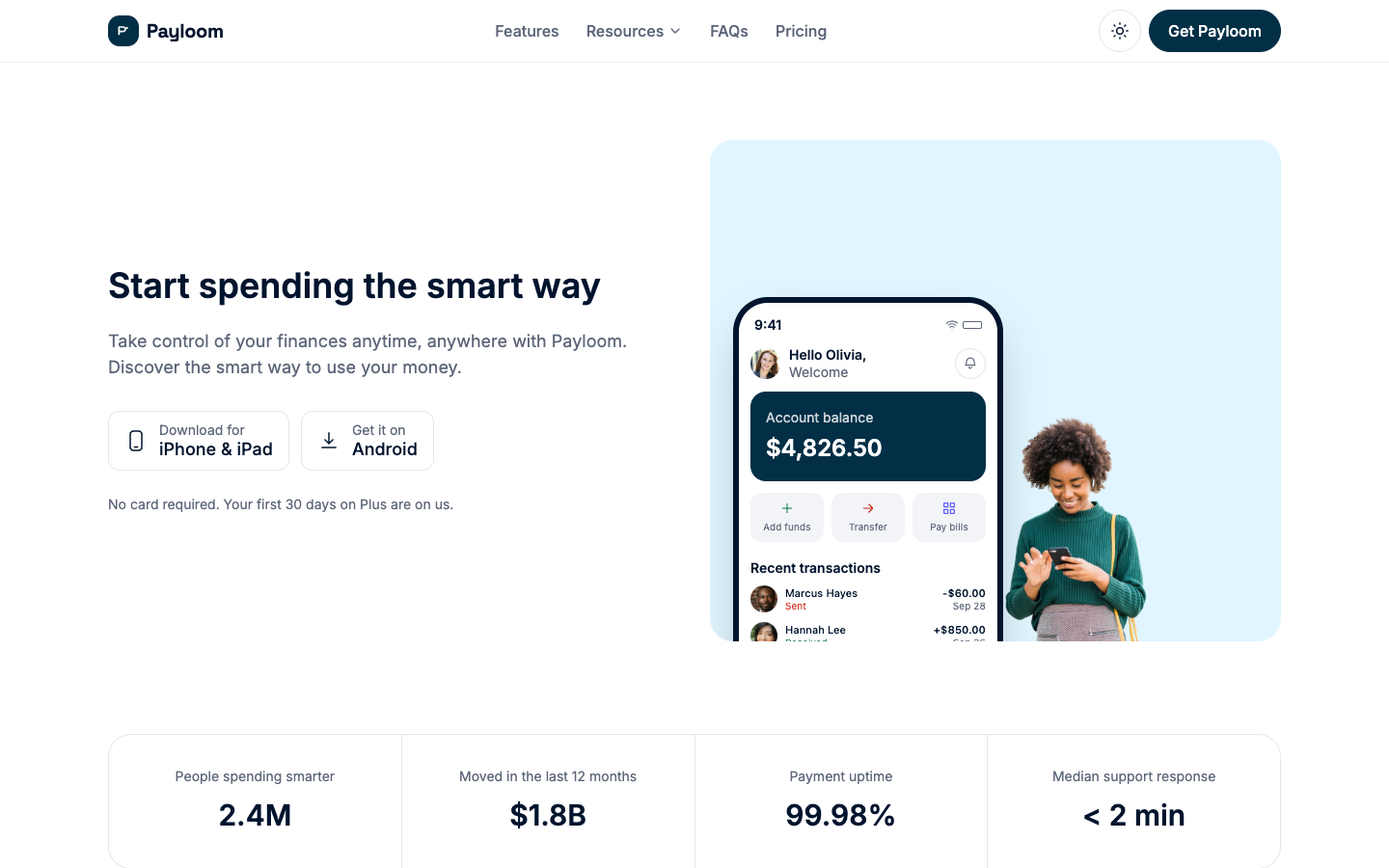 Payloom website template preview
