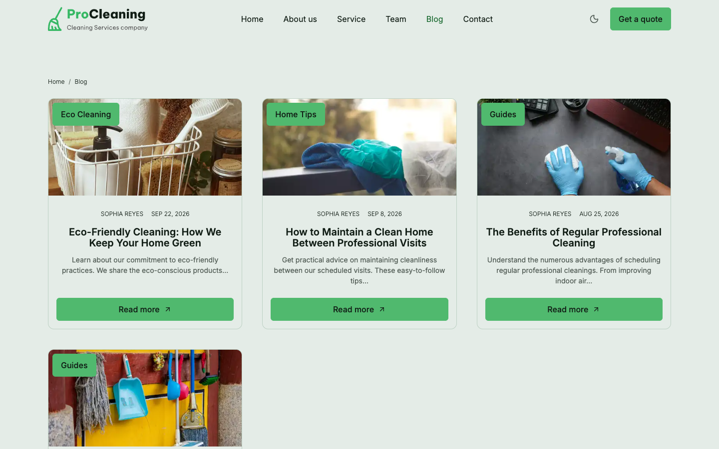 ProCleaning website template preview 3