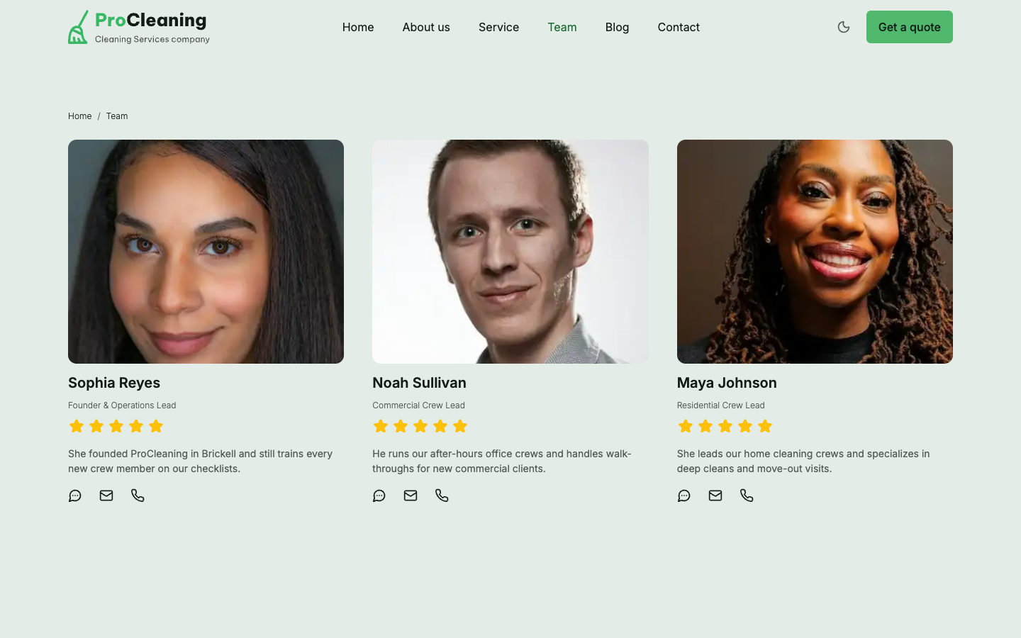 ProCleaning website template preview 6