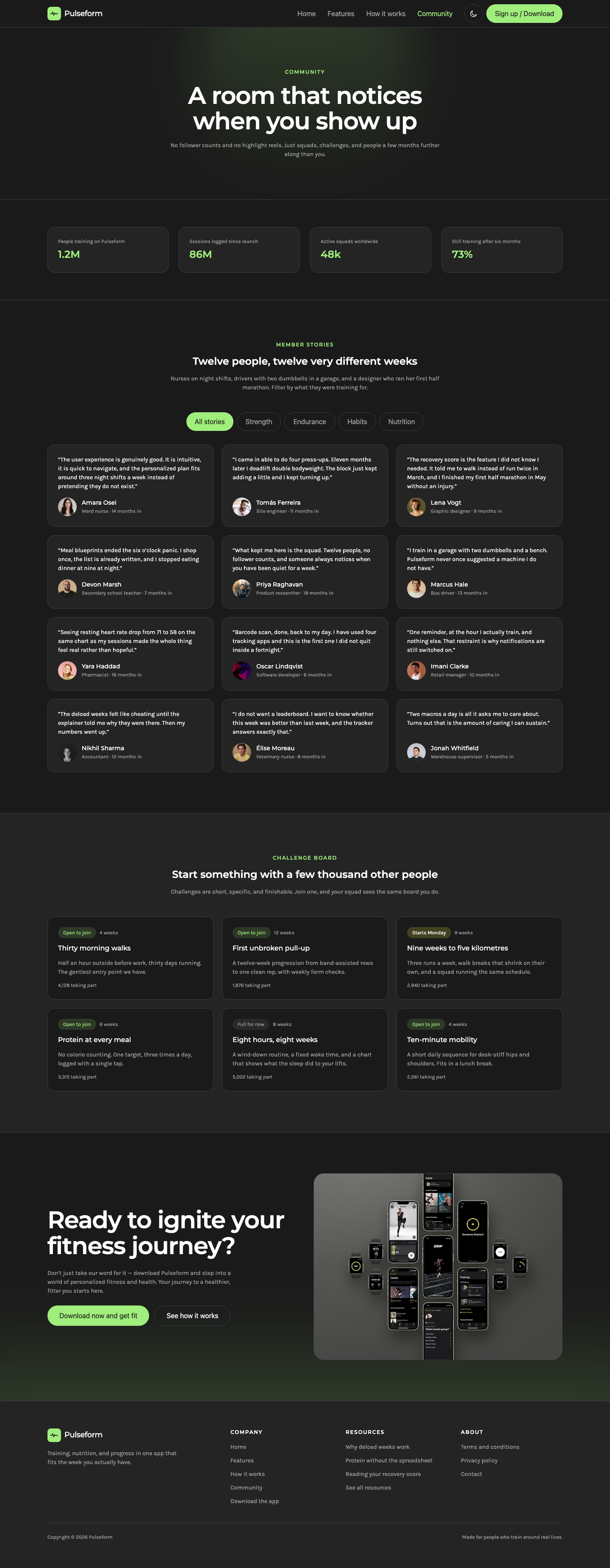 Pulseform website template preview 6