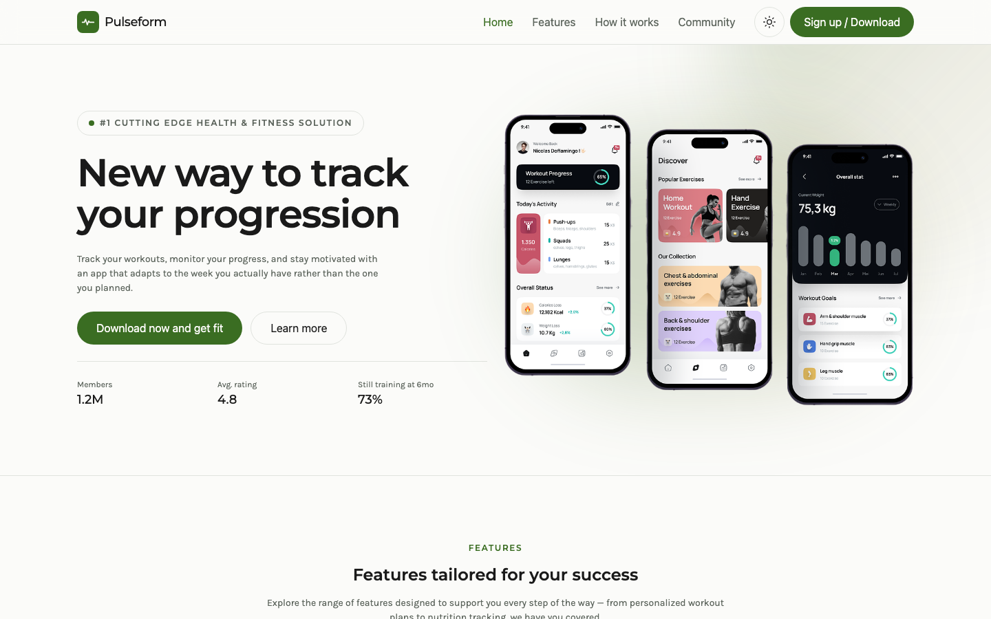 Pulseform website template preview