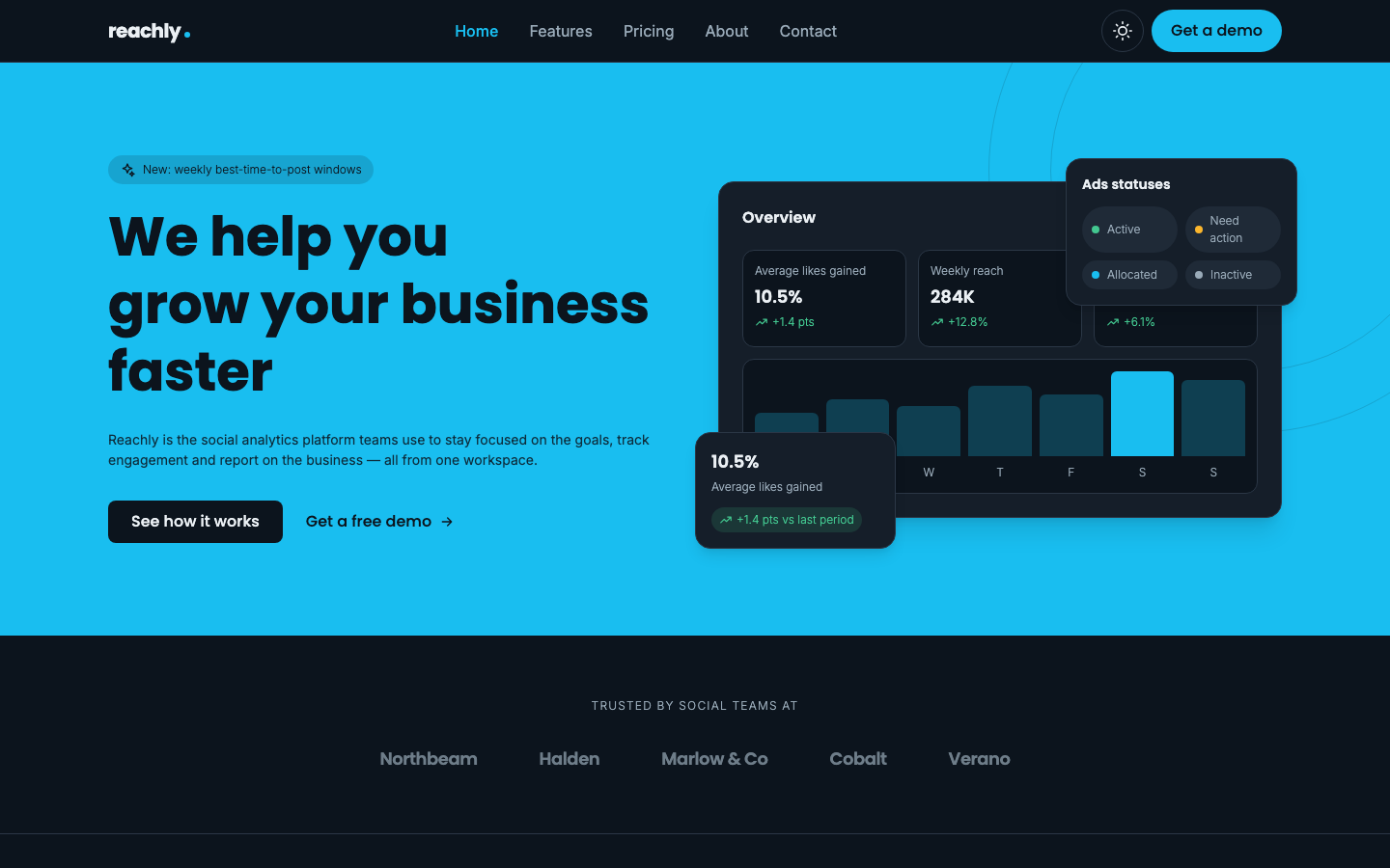 Reachly website template preview 2