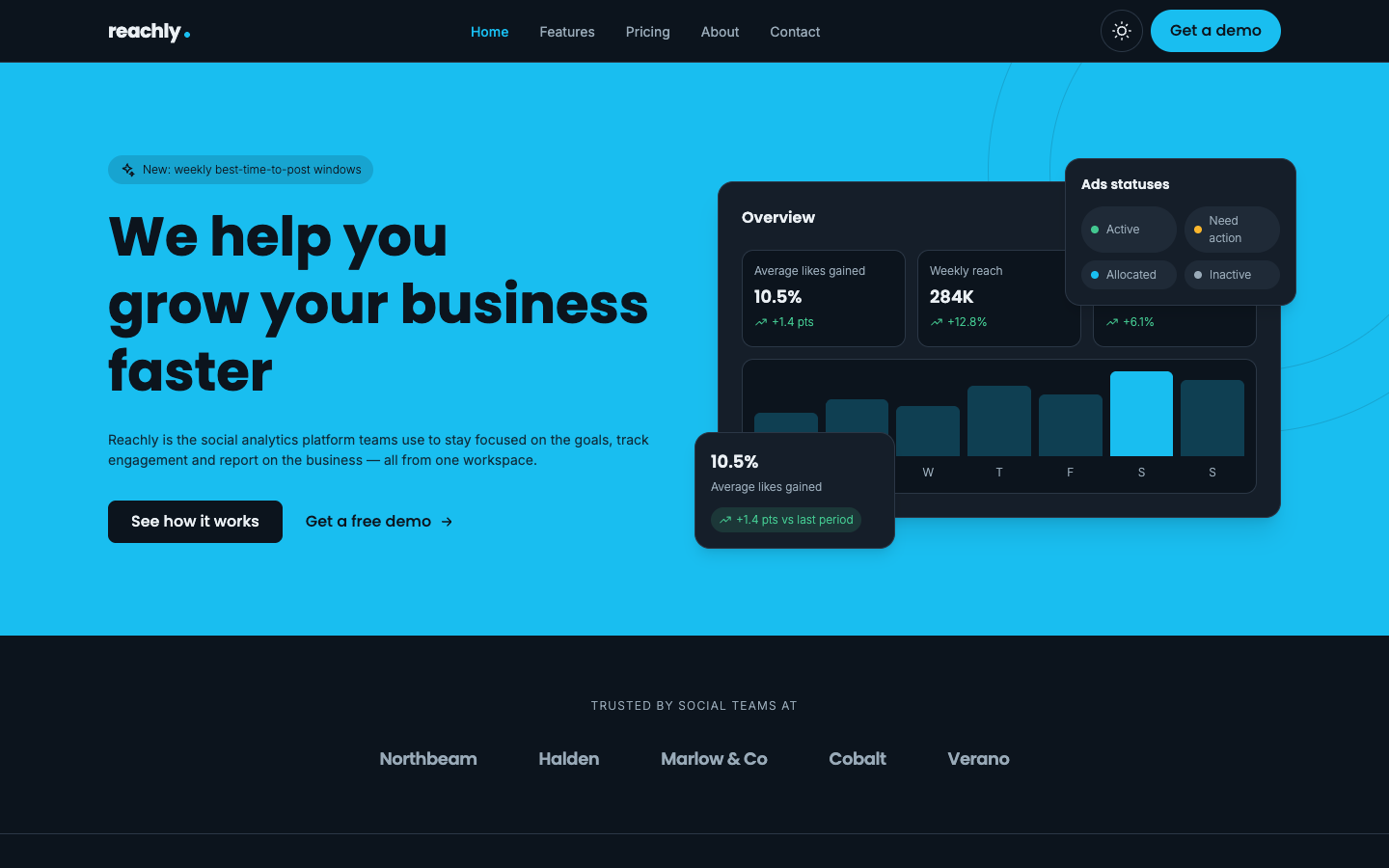 Reachly website template preview 2