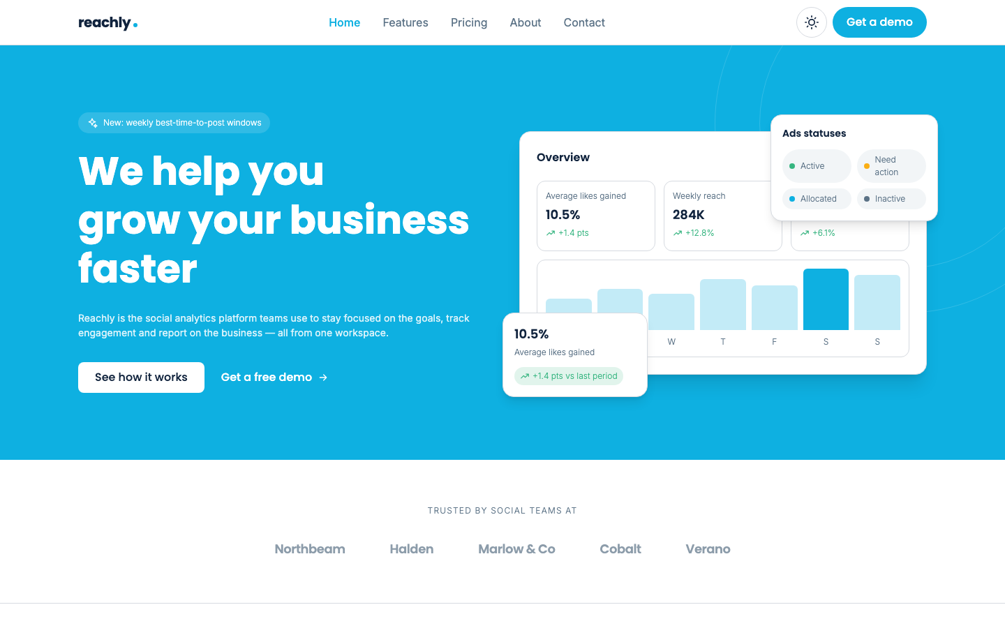 Reachly website template preview