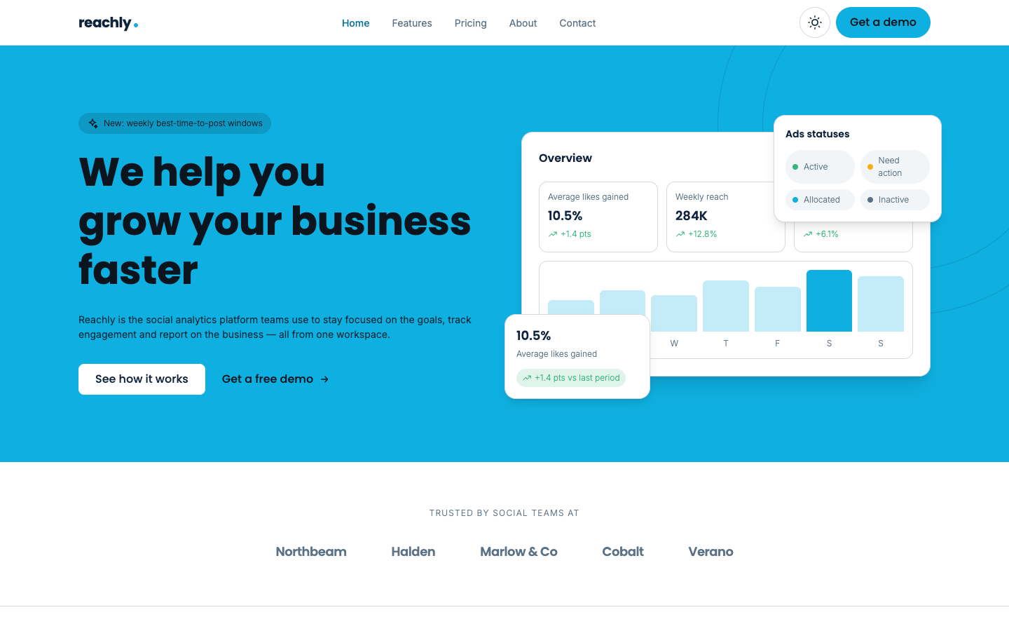 Reachly website template preview