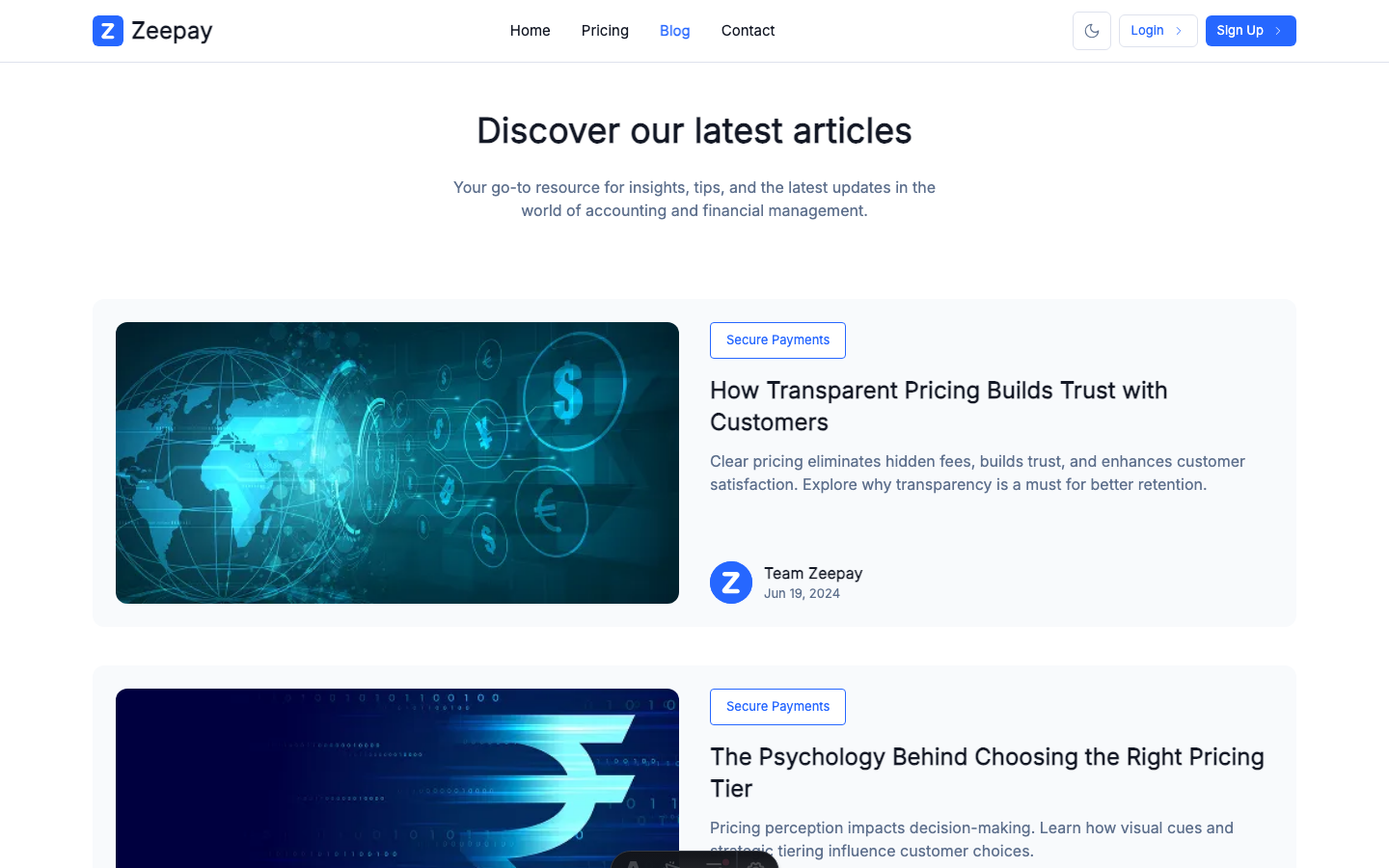 Zeepay website template — page 3