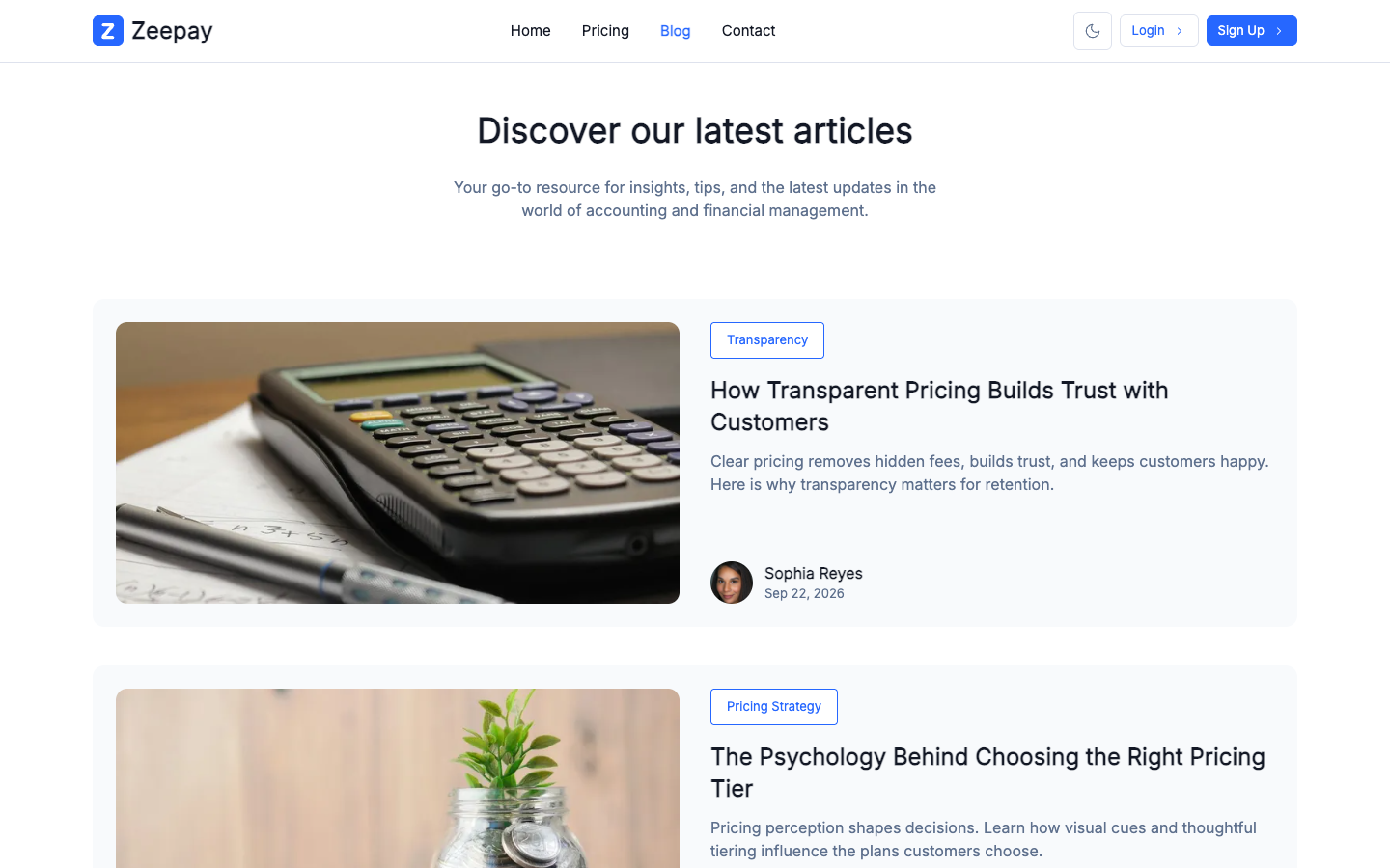 Zeepay website template preview 3