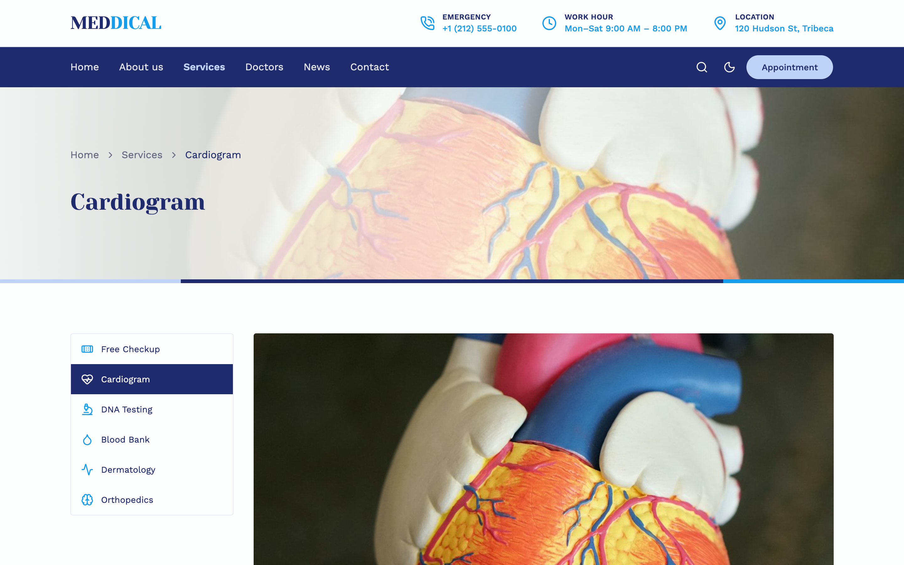 Meddical web app template preview 4