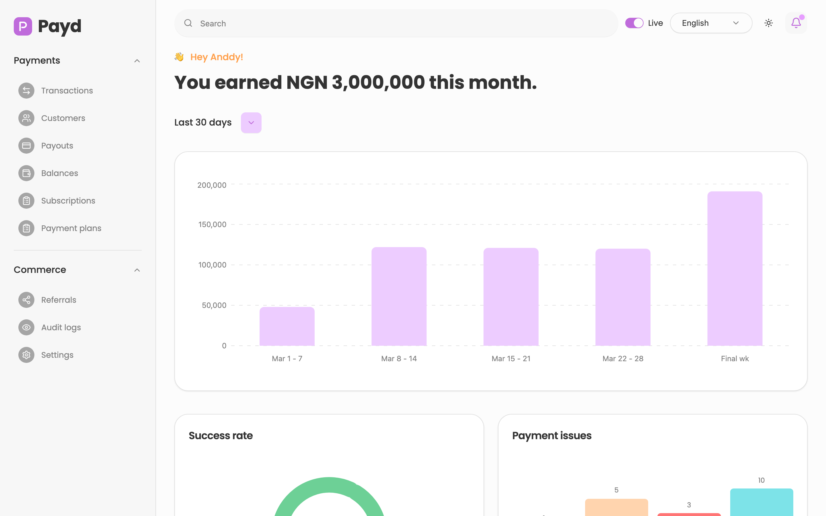 Payd web app template preview