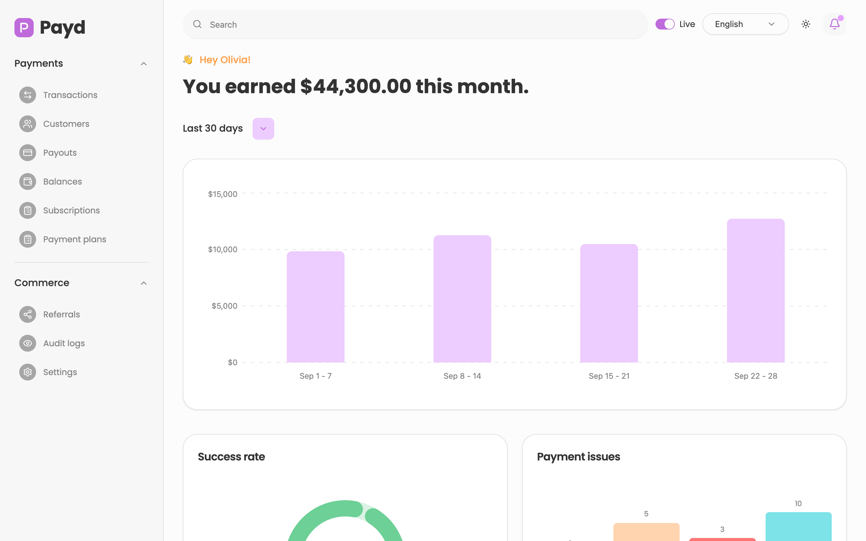 Payd web app template preview
