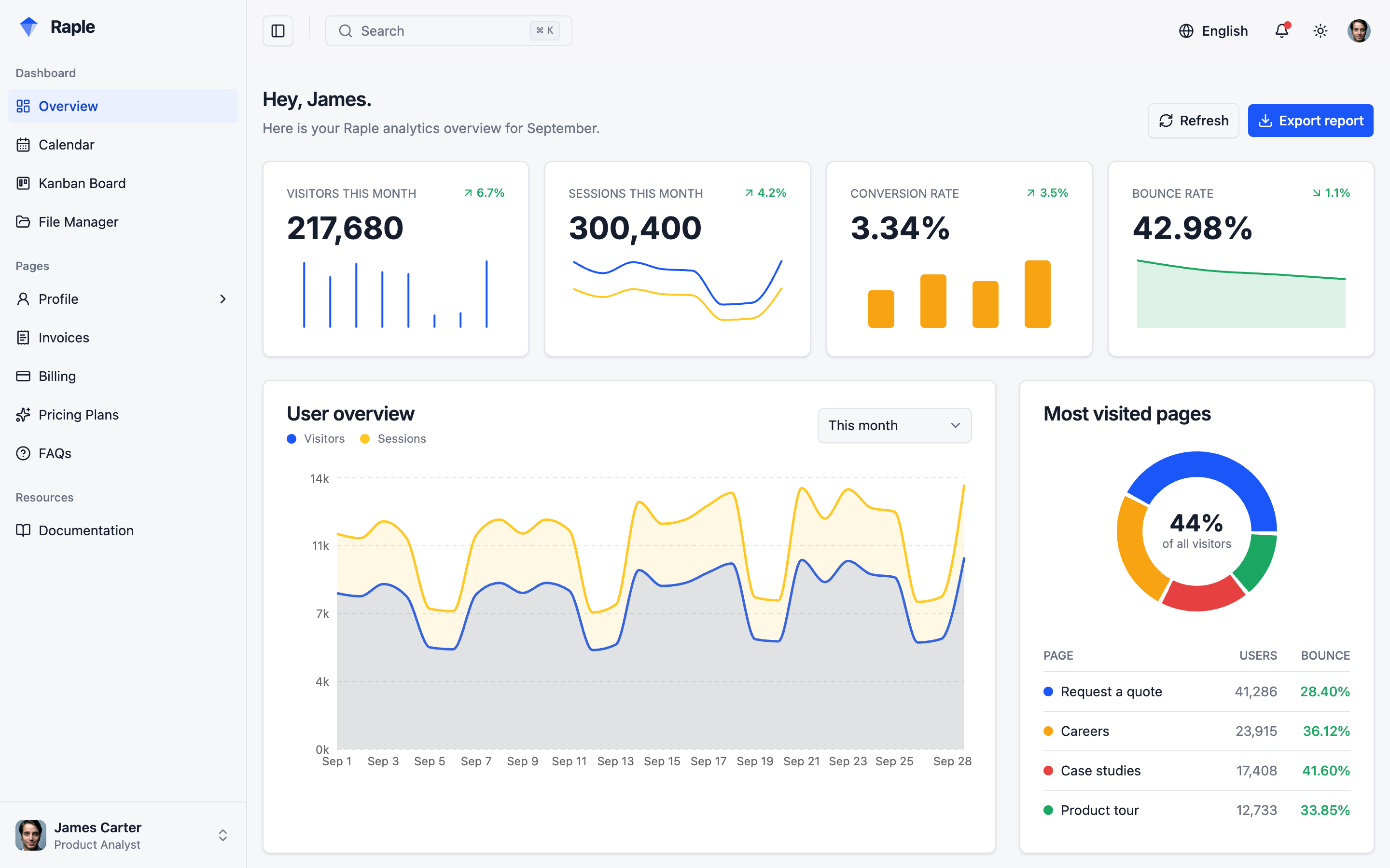 Raple Analytics Suite web app template preview