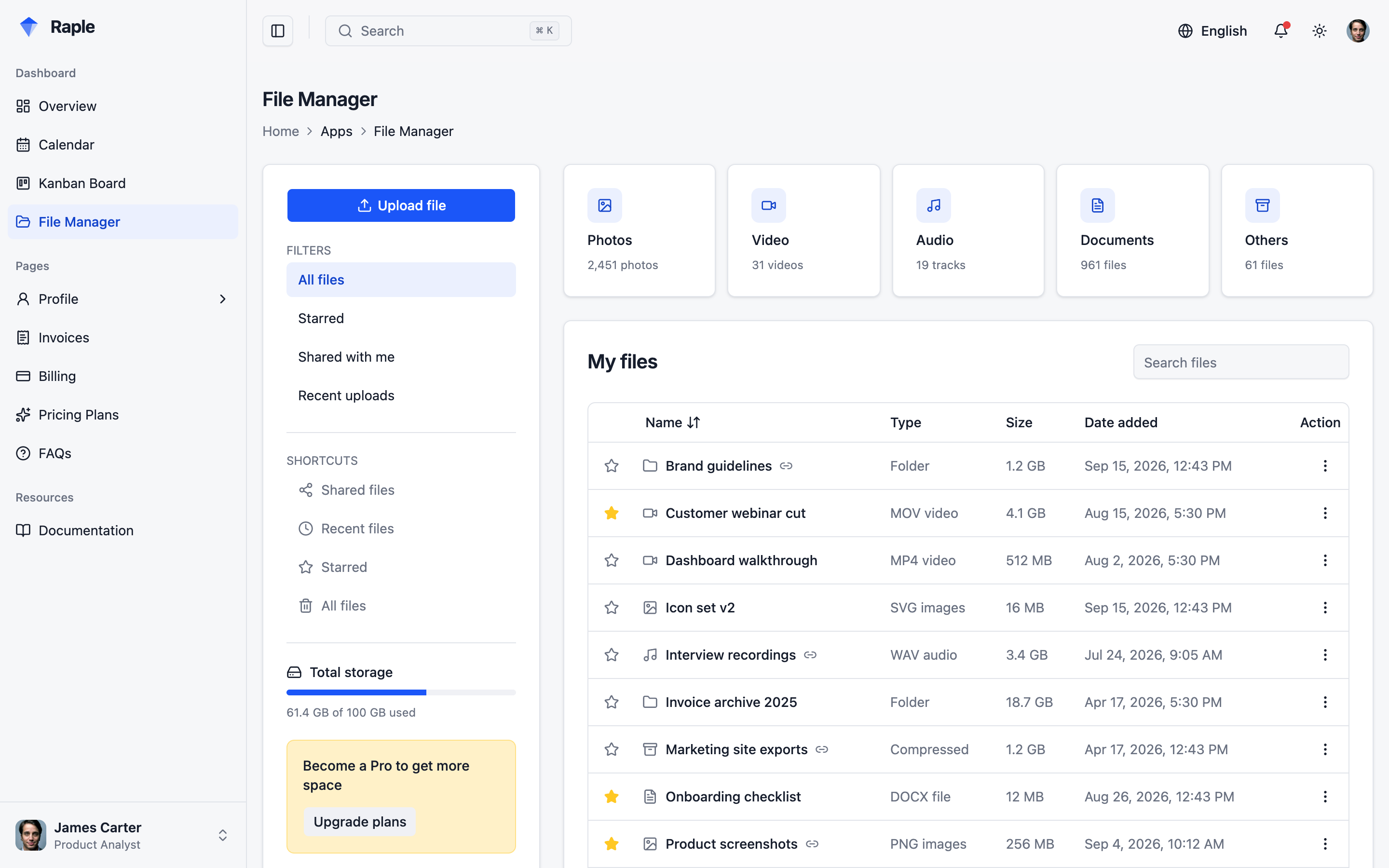 Raple Analytics Suite web app template preview 2