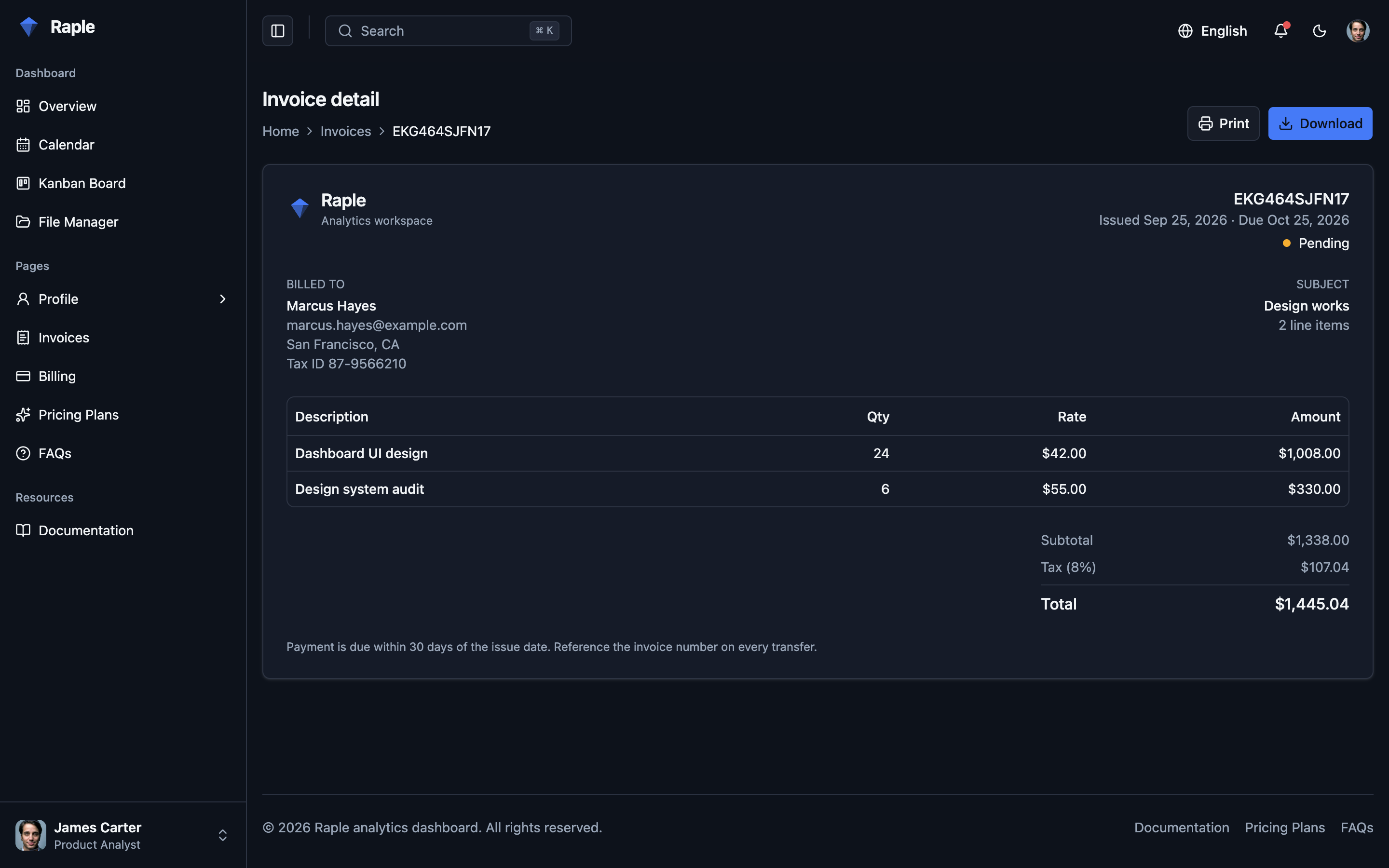 Raple Analytics Suite web app template preview 6