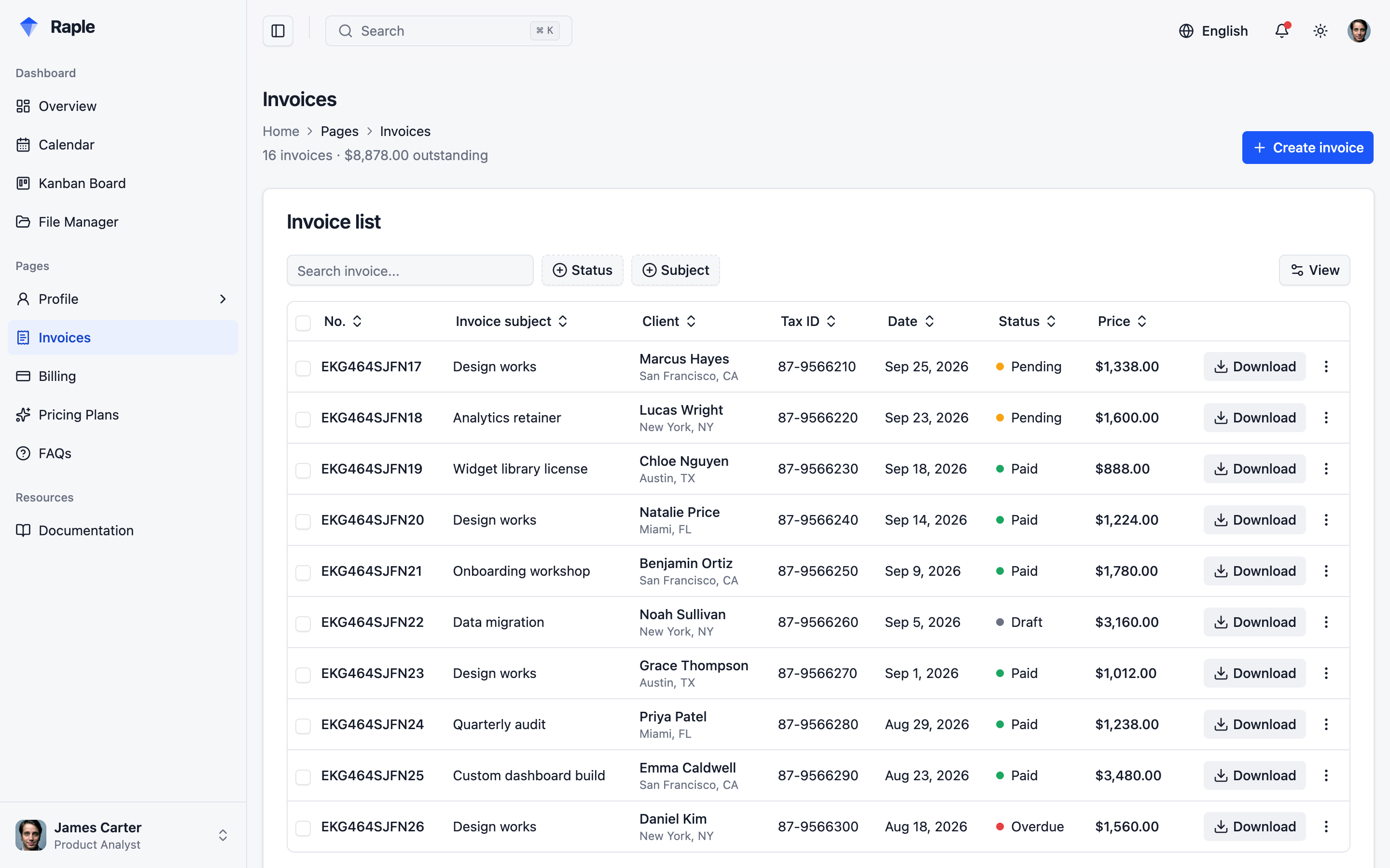 Raple Analytics Suite web app template preview 3