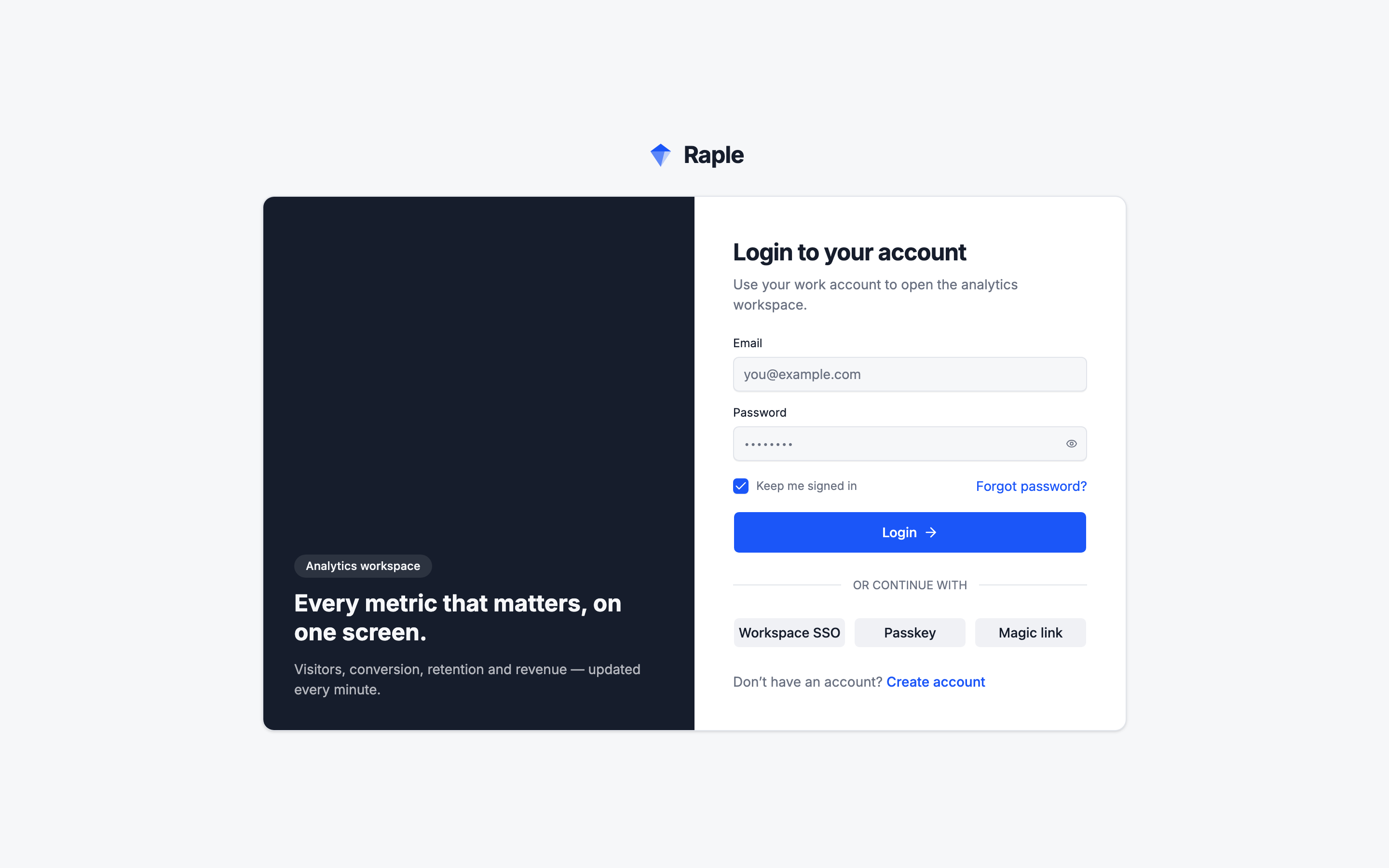 Raple Analytics Suite web app template preview 4