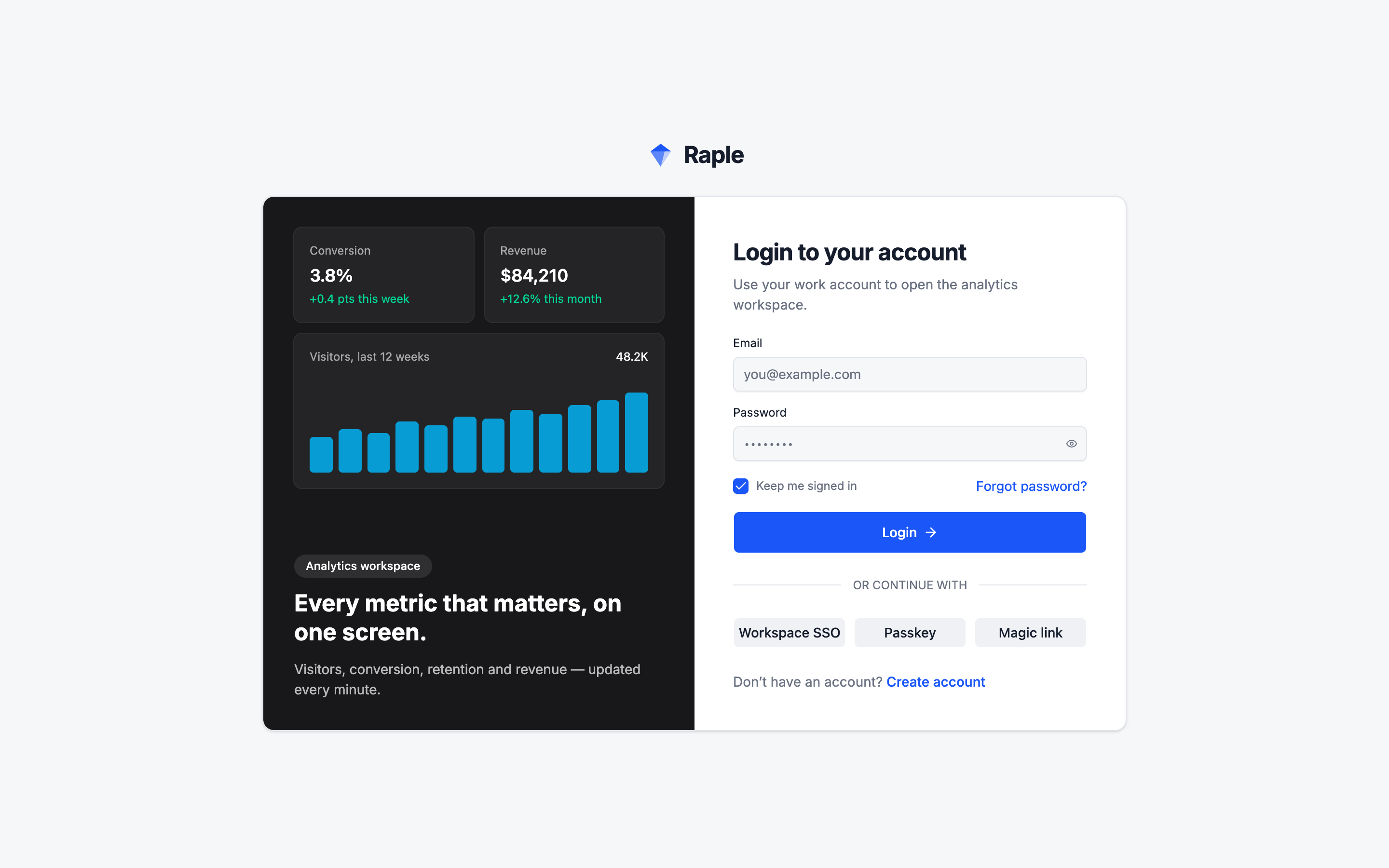 Raple Analytics Suite web app template preview 4